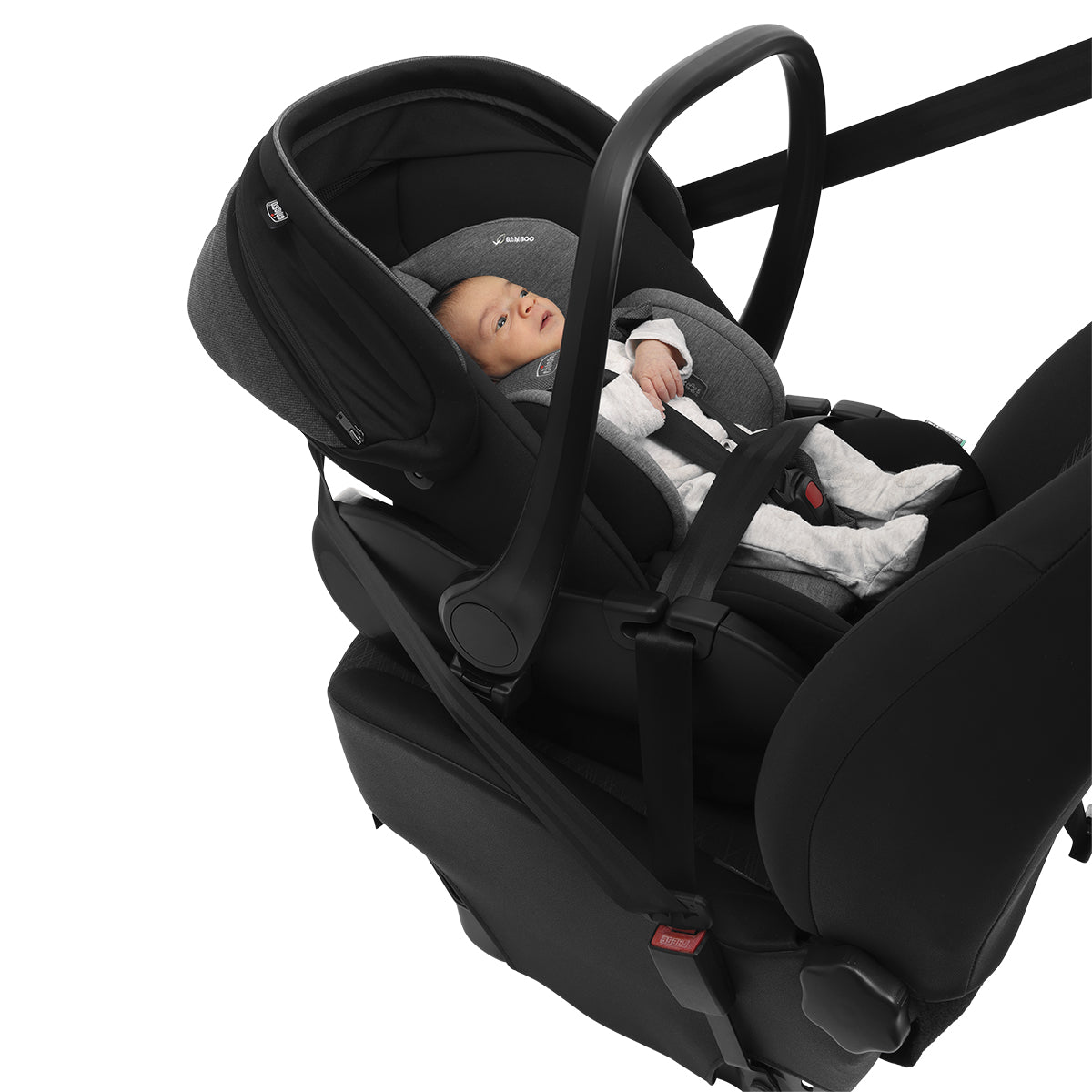 סלקל נשכב צ'יקו פירסט סיט שמנת  | Chicco First Seat Recline Amber Glow