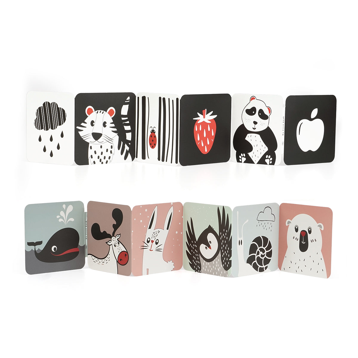 ספרון קרטון לתינוק טוויגי שחור/אדום | Twigy Baby Carton Book black/red