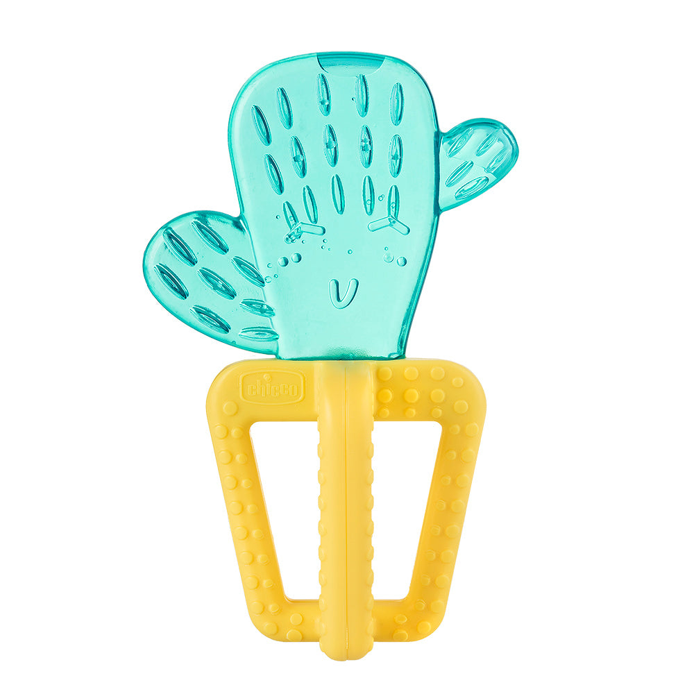 נשכן צ'יקו קקטוס | Chicco Cactus Fresh +4M