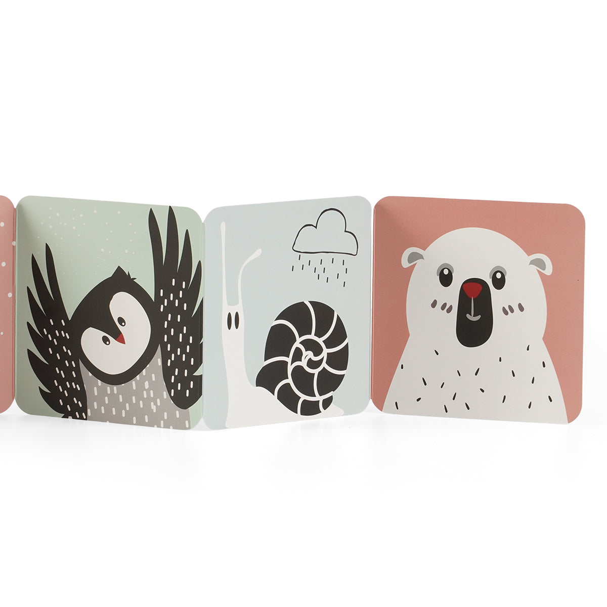 ספרון קרטון לתינוק טוויגי שחור/אדום | Twigy Baby Carton Book black/red