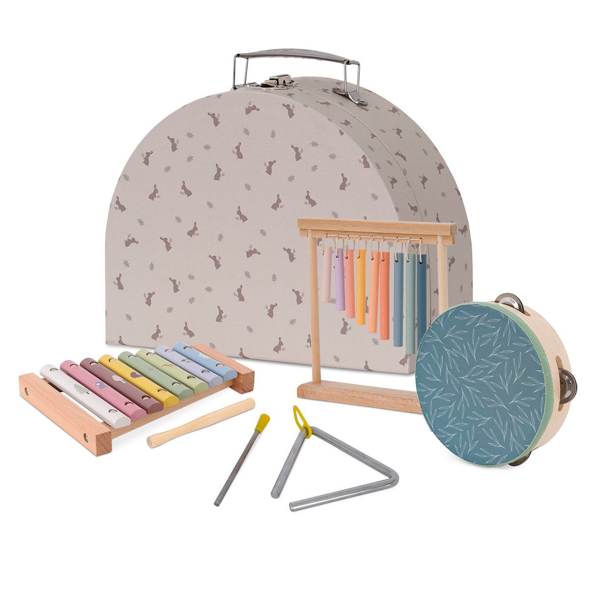 סט כלי נגינה דייניז | Dainy's Musical instrument set
