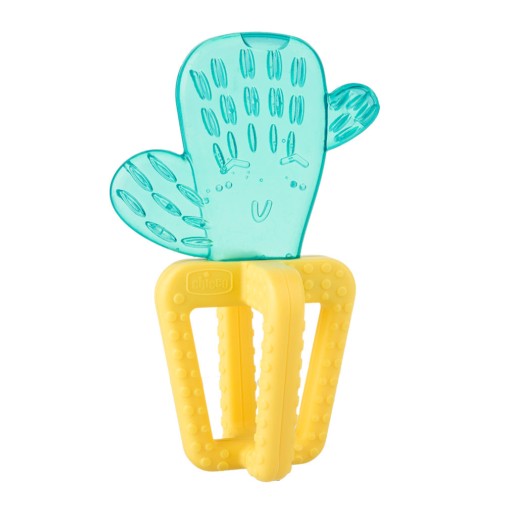 נשכן צ'יקו קקטוס | Chicco Cactus Fresh +4M