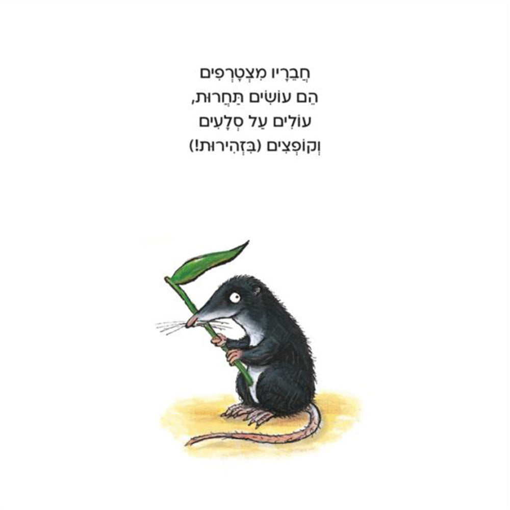 פרדי הצפרדע – דפי קרטון