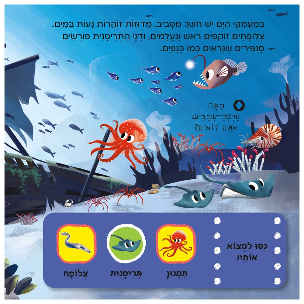 חוקרים קטנים: חיות הים