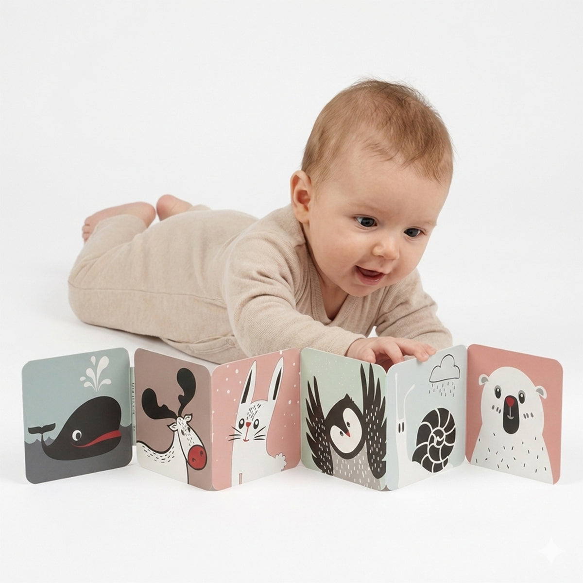 ספרון קרטון לתינוק טוויגי שחור/אדום | Twigy Baby Carton Book black/red