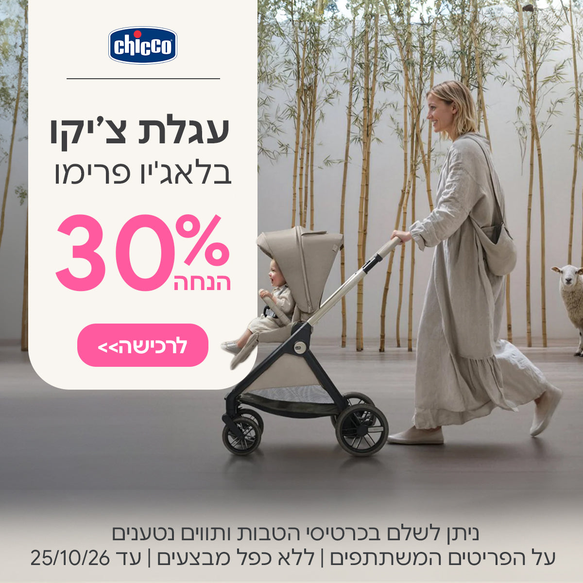 עגלת צ'יקו בלאג'יו פרימו ב- 30% הנחה | ניתן לשלם בכרטיסי הטבות ותווים נטענים | על הפריטים המשתתפים במבצע | ללא כפל מבצעים | המבצע בתוקף עד 25/10/26
