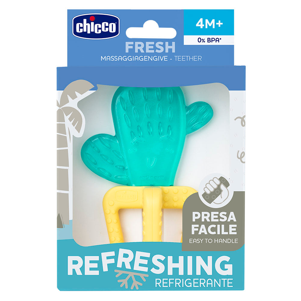 נשכן צ'יקו קקטוס | Chicco Cactus Fresh +4M