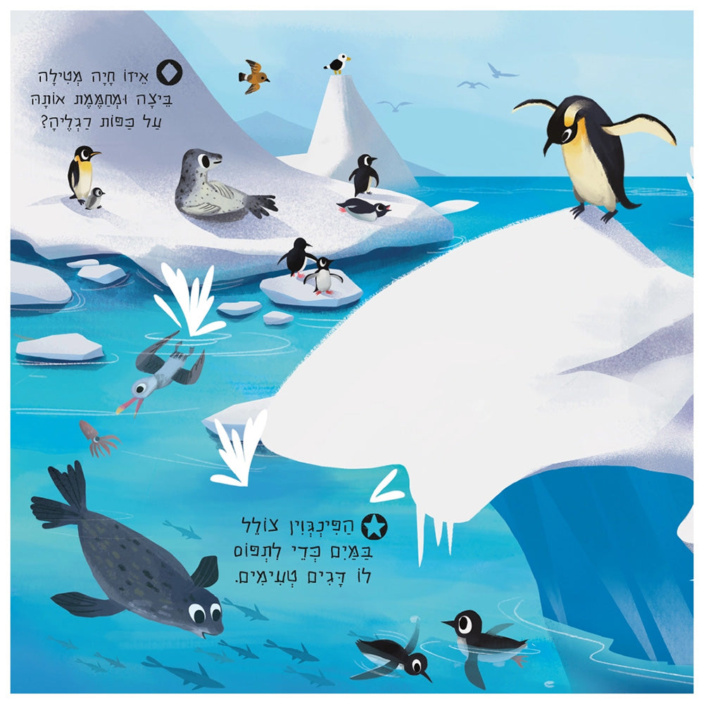 חוקרים קטנים: חיות הים