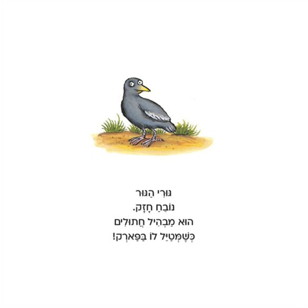 גורי הגור