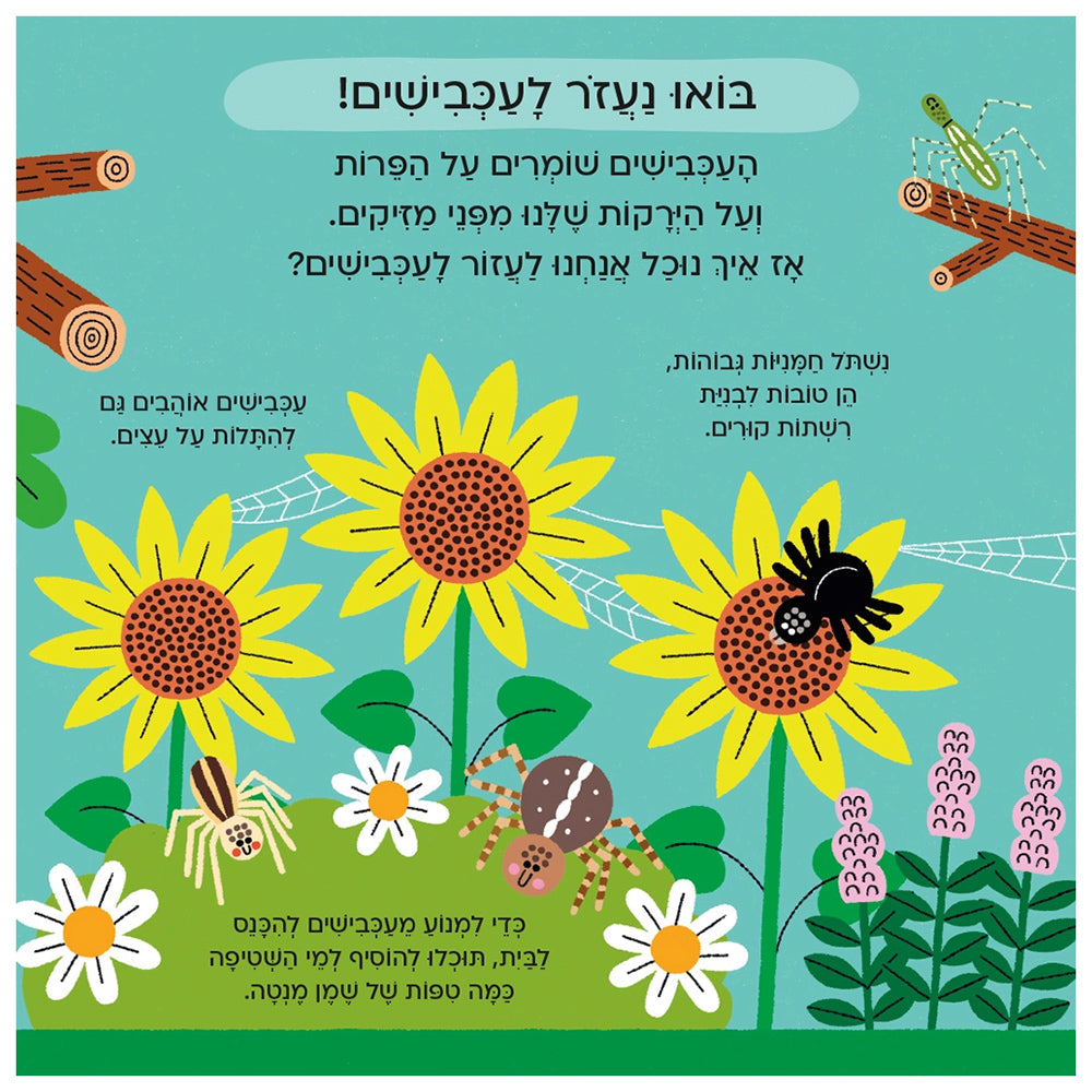 עולם קטן ירוק שלי : עכביש