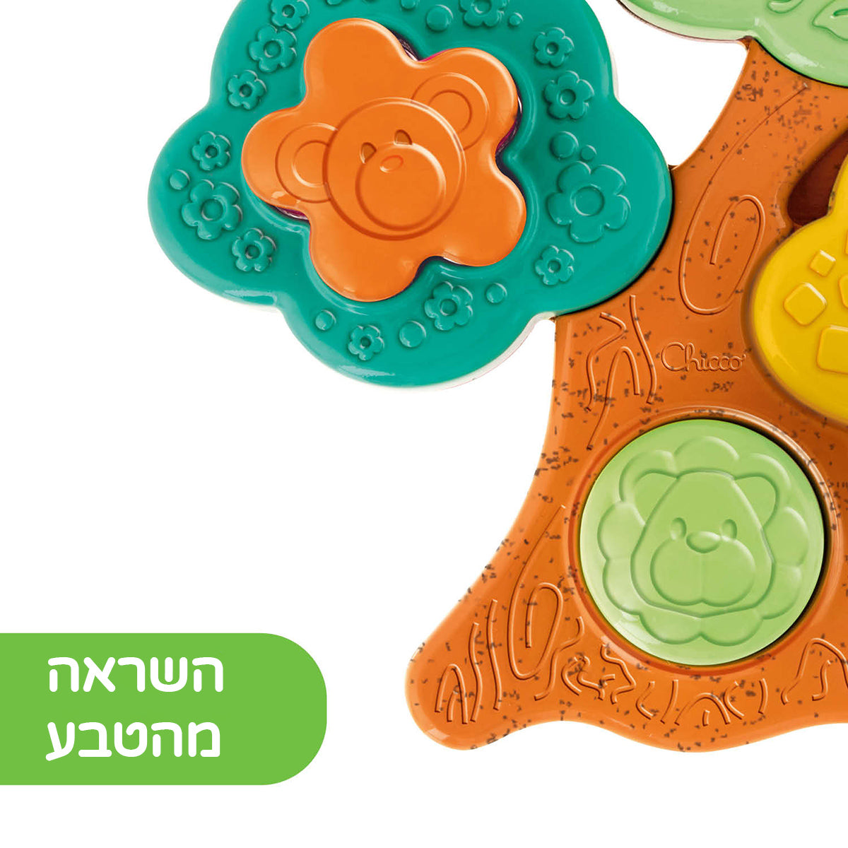 צעצוע עץ הצורות צ'יקו | +Chicco Baobab Shape Sorter ECO
