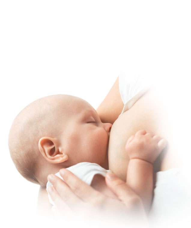 רפידות הנקה אנטי בקטריאליות צ'יקו 60 יח’ | Breast Pads Antibacterial Chicco