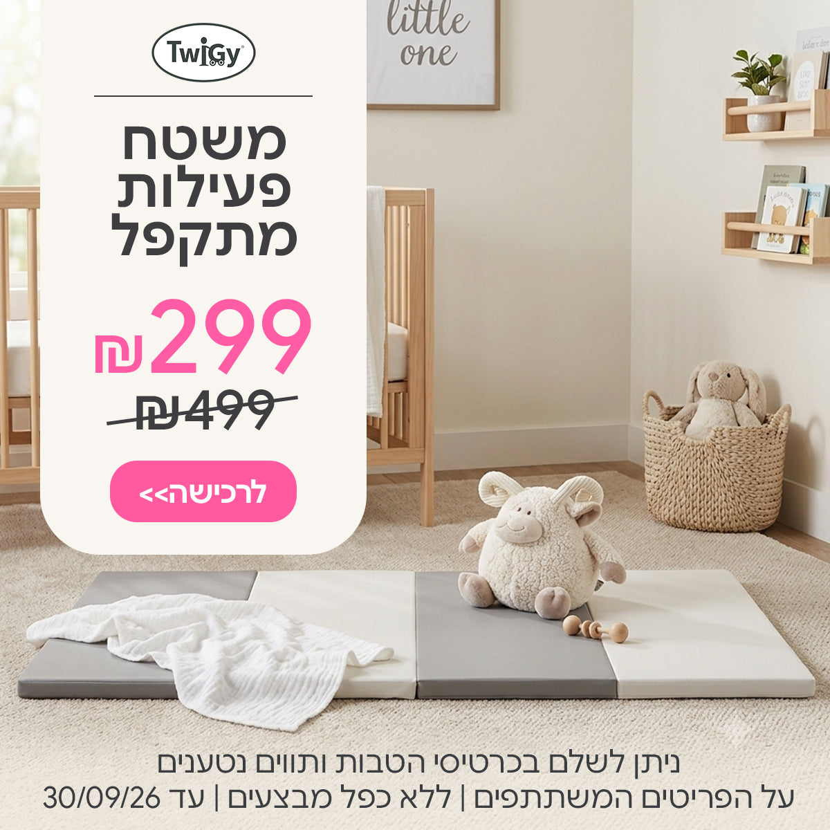 משטח פעילות מתקפל טוויגי ב-299 ש"ח | ניתן לשלם בכרטיסי הטבות ותווים נטענים | על הפריטים המשתתפים במבצע | ללא כפל מבצעים | המבצע בתוקף עד 30/09/26
