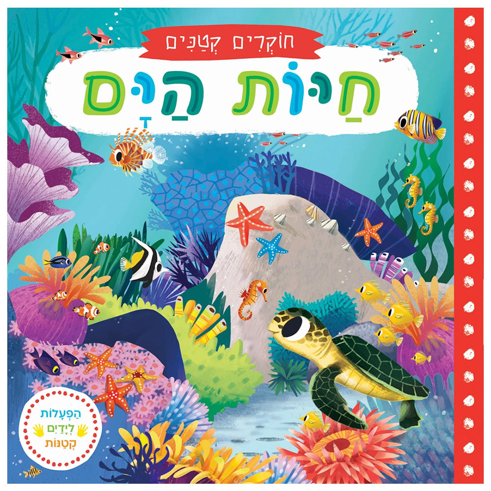 חוקרים קטנים: חיות הים