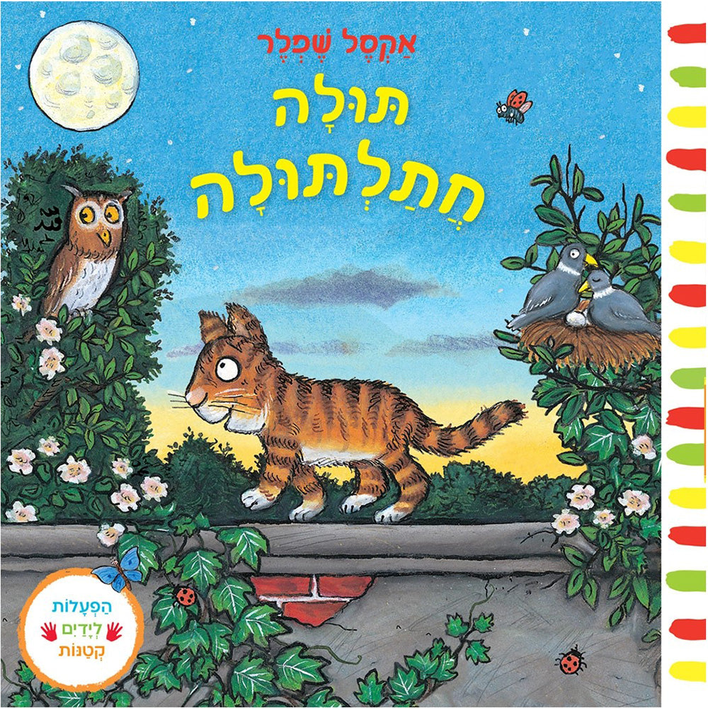 תולה חתלתולה