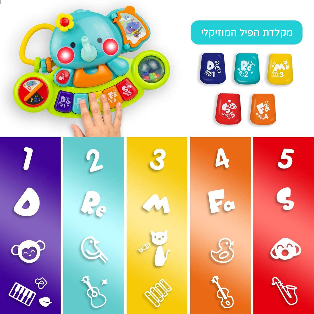 לימוד מספרים ועולם החי