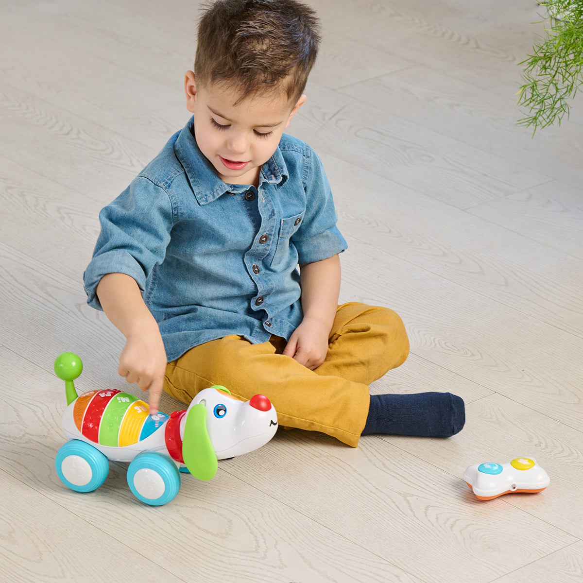 כלב אלקטרוני עם שלט צ'יקו צבעוני | Chicco Toy DogRemi RC Colorful