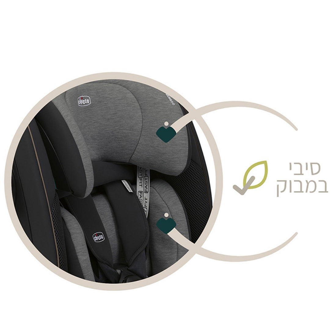 סיבי במבוק