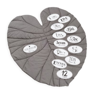 משטח פעילות – עלה