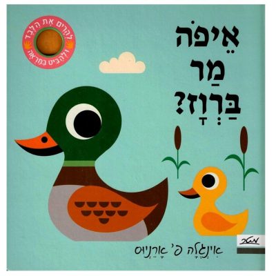 איפה מר ברווז